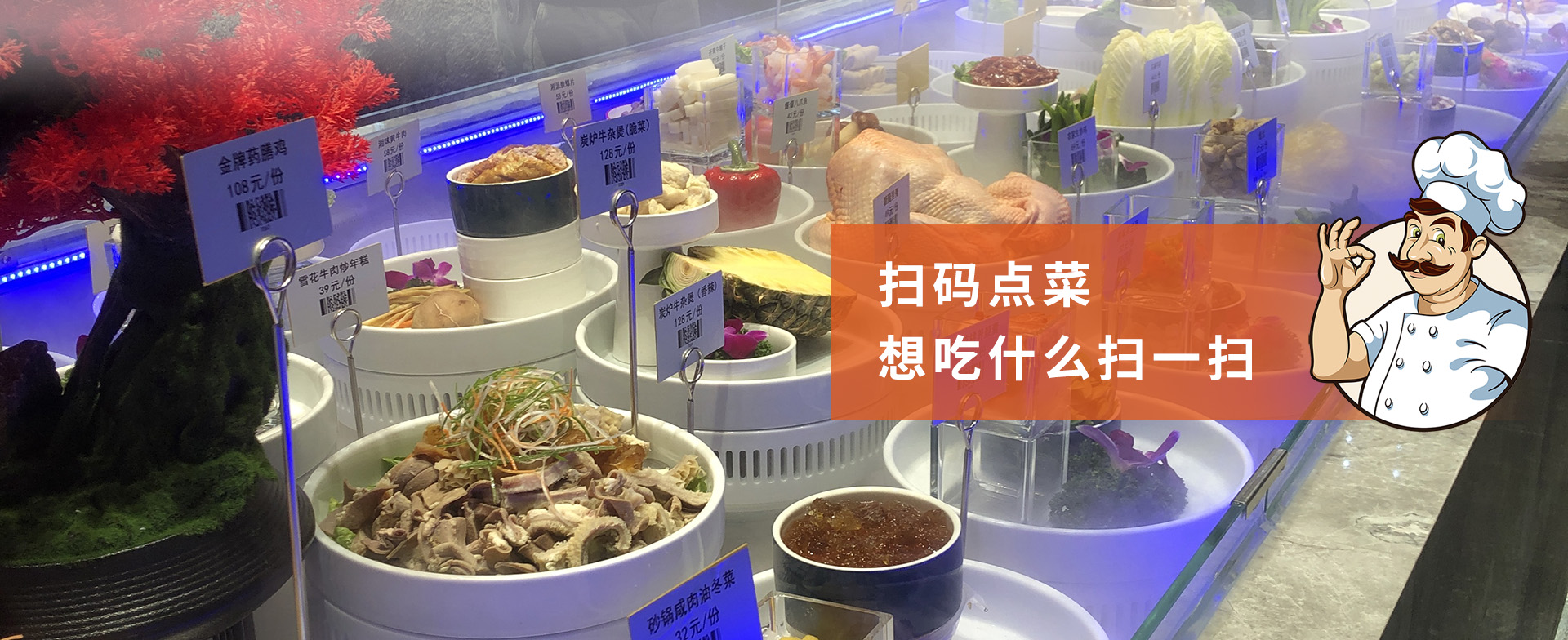 宁波柏思信息科技有限公司